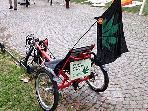 Grafik zur Hanf-Initiative in Frankfurt am Main in Deutschland